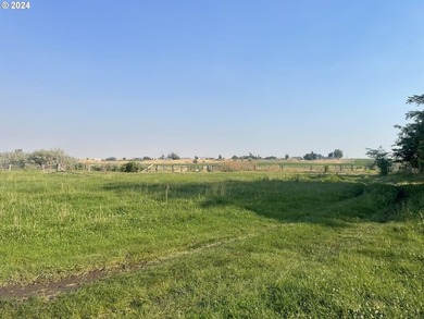 Discover a unique opportunity to own a productive and fertile - photo 15
