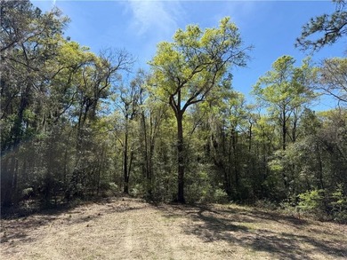 This is an excellent opportunity to own a great residential lot - photo 3