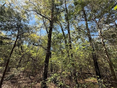 This is an excellent opportunity to own a great residential lot - photo 4