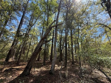 This is an excellent opportunity to own a great residential lot - photo 6