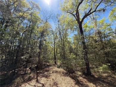 This is an excellent opportunity to own a great residential lot - photo 7