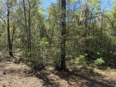 This is an excellent opportunity to own a great residential lot - photo 8