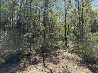 This is an excellent opportunity to own a great residential lot - photo 9