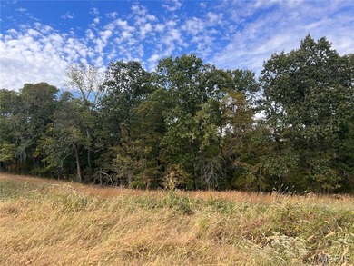 Meramec River Acreage For Sale in Saint Clair Missouri