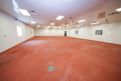 A Belfast landmark with a vibrant past and a thriving present - photo 31