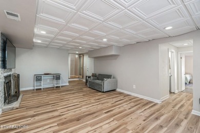 This stunning 4-bedroom, 4-bath tri-level home sits on one of - photo 32