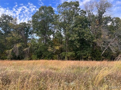 Meramec River Acreage For Sale in Saint Clair Missouri