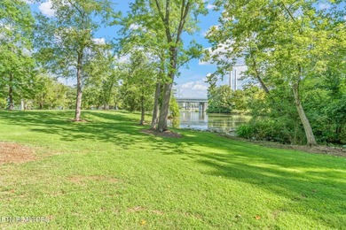 This stunning 4-bedroom, 4-bath tri-level home sits on one of - photo 46