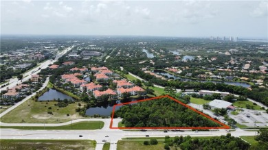 (private lake, pond, creek) Commercial For Sale in Estero Florida