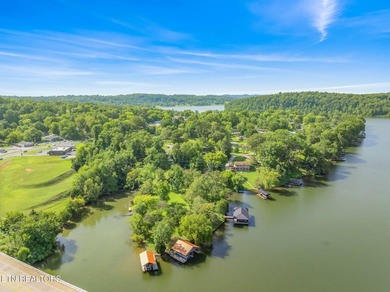 This stunning 4-bedroom, 4-bath tri-level home sits on one of - photo 54