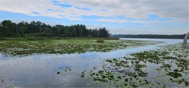 Lake Acreage For Sale in Baxter, Minnesota