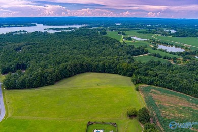 Weiss Lake! Enjoy LAKE LIFE LIVING! Build your Dream Home Here - photo 7