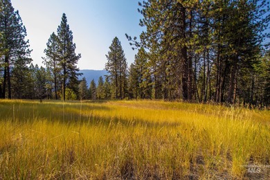 Dworshak Reservoir Acreage For Sale in Ahsahka Idaho