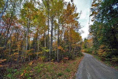 Land In Maine For Low Cost Vacation Getaways. Work, Work Some - photo 14