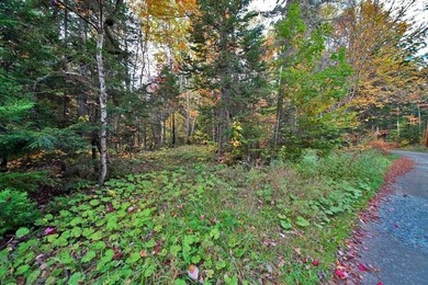 Land In Maine For Low Cost Vacation Getaways. Work, Work Some - photo 15