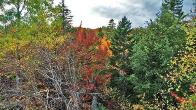 Land In Maine For Low Cost Vacation Getaways. Work, Work Some - photo 17
