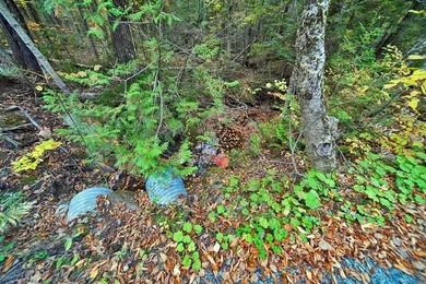 Land In Maine For Low Cost Vacation Getaways. Work, Work Some - photo 18