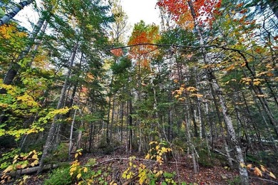 Land In Maine For Low Cost Vacation Getaways. Work, Work Some - photo 20