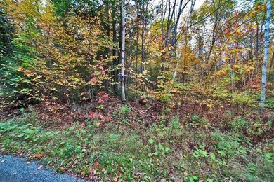 Land In Maine For Low Cost Vacation Getaways. Work, Work Some - photo 21