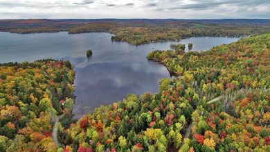 Land In Maine For Low Cost Vacation Getaways. Work, Work Some - photo 31