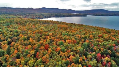 Land In Maine For Low Cost Vacation Getaways. Work, Work Some - photo 37