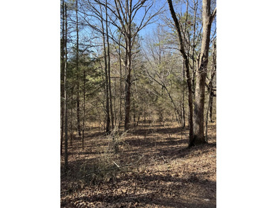 Chickamauga Lake Lot For Sale in Harrison Tennessee
