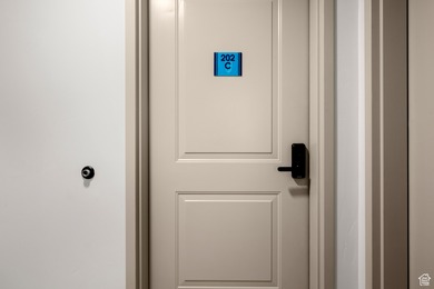 Modern Luxury Condo Near Bear Lake Short term rental Approved - photo 45