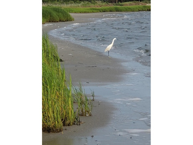 Experience breathtaking coastal living in this 4-bedroom, 3