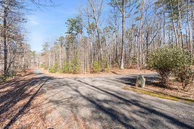 Come and see this beautiful building lot in the much sought - photo 11