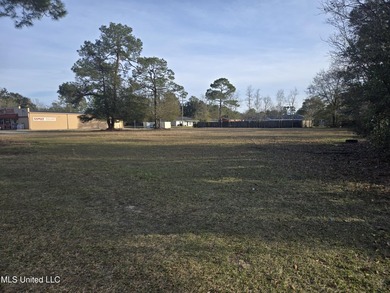 Location, location, location! Hard .6026 acre corner of Dedeaux - photo 11