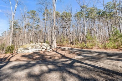 Come and see this beautiful building lot in the much sought - photo 15