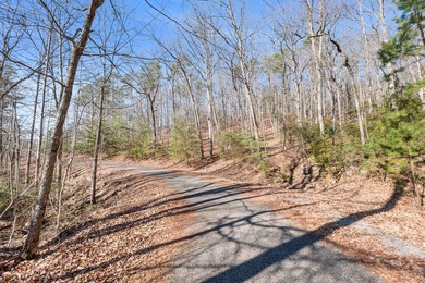 Come and see this beautiful building lot in the much sought - photo 16