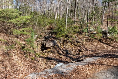 Come and see this beautiful building lot in the much sought - photo 17