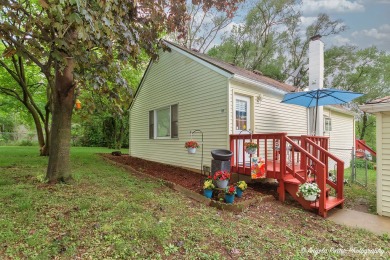 Lake Home For Sale in Island Lake, Illinois