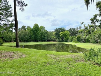 Be the first to reside in this exquisite Distant Island custom - photo 22