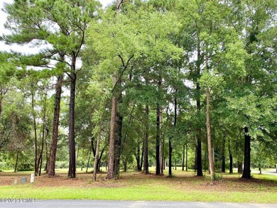 Be the first to reside in this exquisite Distant Island custom - photo 24