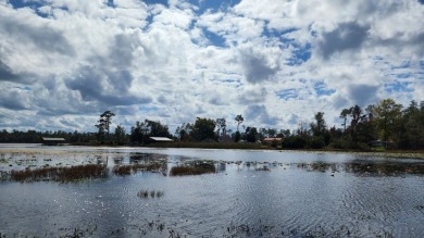 Lake Home For Sale in Donalsonville, Georgia