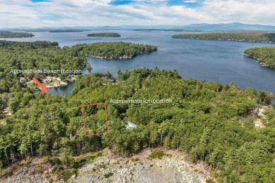 Lake Winnipesaukee Lot For Sale in Alton New Hampshire