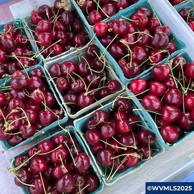 This 1 bedroom, 1.5 bathroom home was built in 2022 and designed