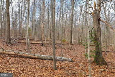 Discover the possibilities on Riverbend Drive. Tucked within a - photo 32