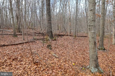 Discover the possibilities on Riverbend Drive. Tucked within a - photo 34