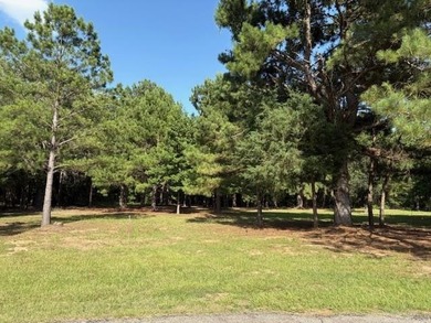 One of Two Tranquil Cul-de-Sac Lots in Holly Lake Ranch - Your - photo 2