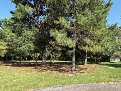 One of Two Tranquil Cul-de-Sac Lots in Holly Lake Ranch - Your - photo 3