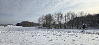 Lake Acreage For Sale in Rothbury, Michigan