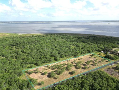 Lake Lot For Sale in Mathis, Texas