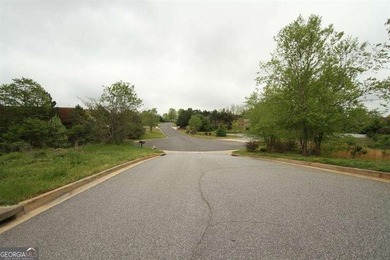 Zoned M-1, this 4.67-acre rectangular lot is ideally situated at - photo 15