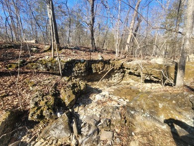Nestled in the heart of nature, this exceptional 265+/- acre - photo 22