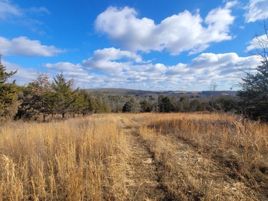 Nestled in the heart of nature, this exceptional 265+/- acre - photo 30
