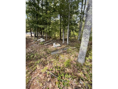 RARE LONG LAKE WATERFRONT OPPORTUNITY- BRIDGTON. A truly rare - photo 8