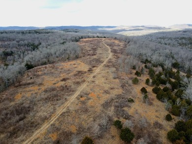 Nestled in the heart of nature, this exceptional 265+/- acre - photo 39